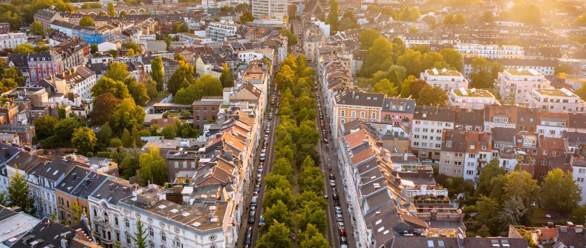 Aken van boven met bomen bij zonsondergang