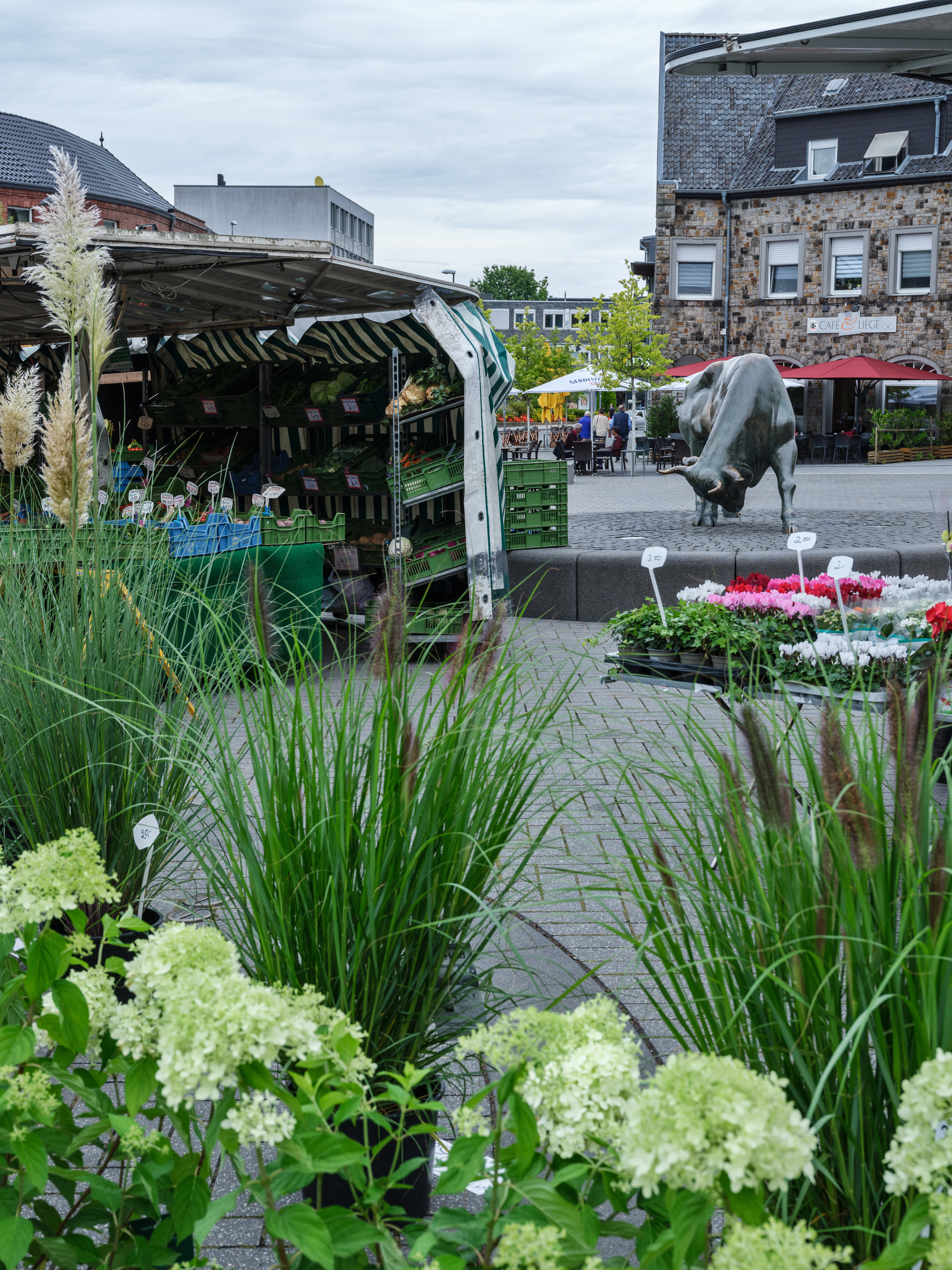 Merk weekmarkt Een foto van de weekmarkt in Brand met de Brander Stier op de achtergrond.