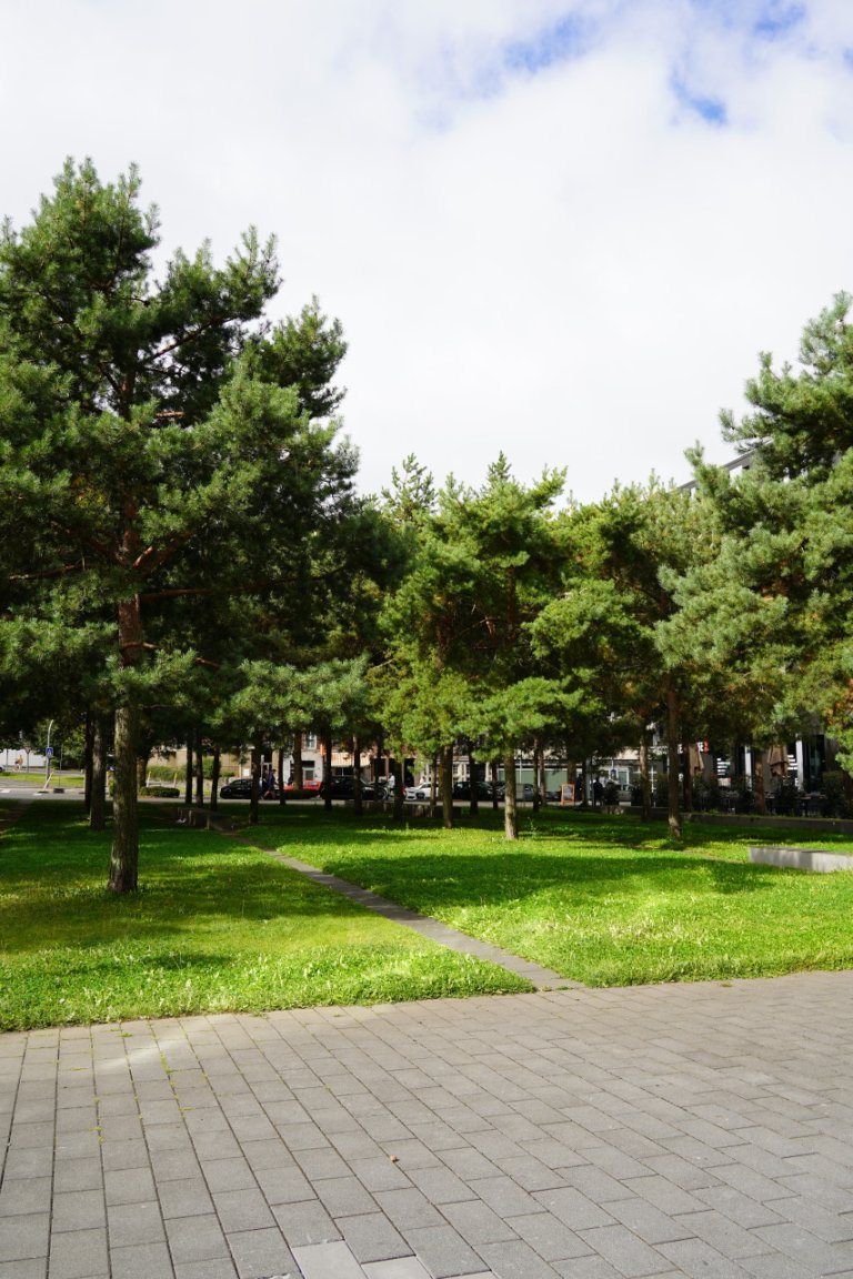 Miniwald Aken-Münchener