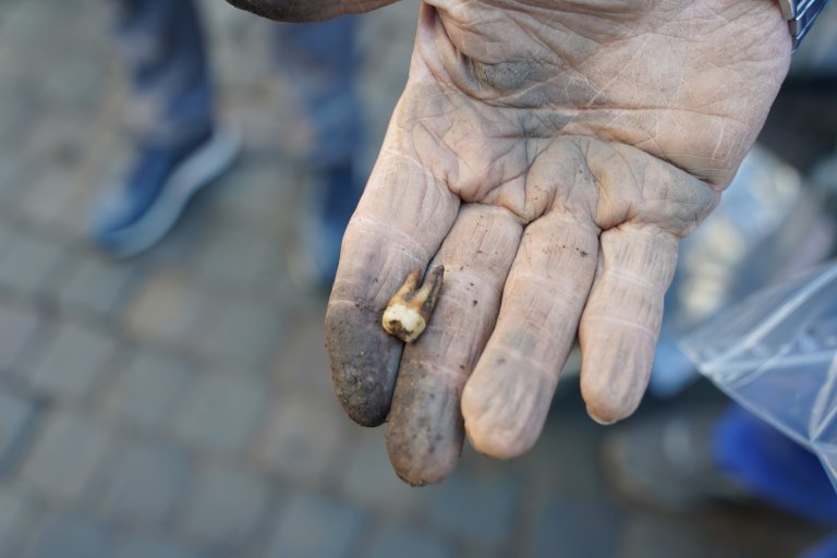 Een tand in een met aarde bevuilde hand.