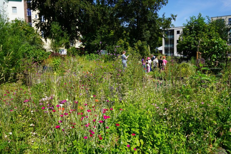 Op de voorgrond staan veel planten en bloemen, op de achtergrond staat een groepje kinderen tussen de bloembedden.
