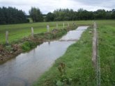 Regenwasser im Graben