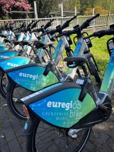 Euregiobike Räder