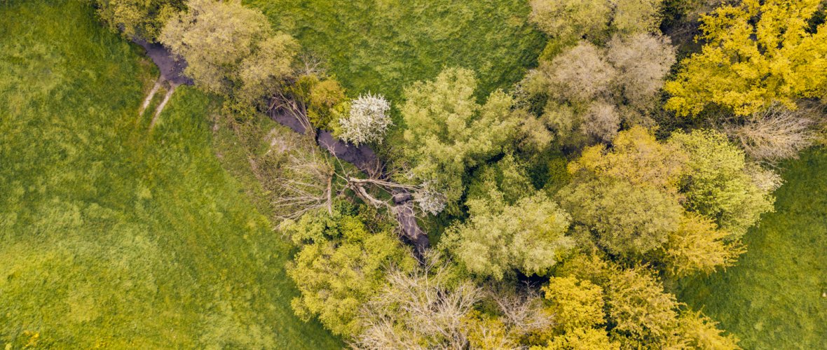 Landschaftsaufnahme mit Baumgruppen und Wiese aus der Vogelperspektive