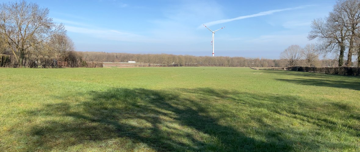 Fotosimulation eines möglichen Windradstandorts. Zu sehen ist eine weitläufige Wiese mit einem Wald im Hintergrund. Dahinter ist ein simuliertes Windrad dargestellt.