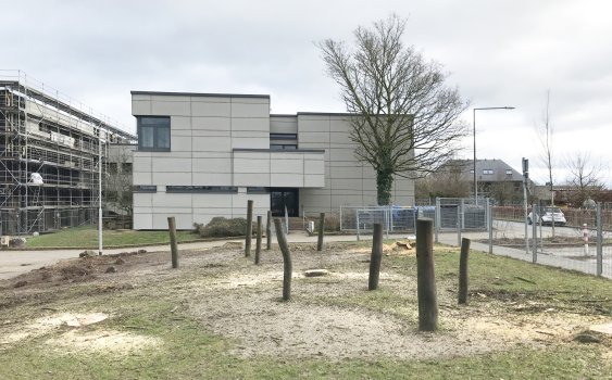 Baumfällungen Februar 2024
