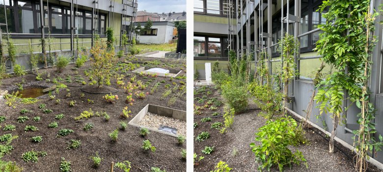 Dach- und Fassadenbegrünung auf dem Dach des Foyers und der Parkgarage.