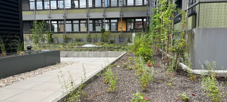 Dach- und Fassadenbegrünung auf dem Dach des Foyers und der Parkgarage.