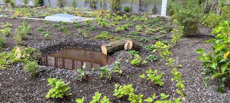 Dach- und Fassadenbegrünung auf dem Dach des Foyers und der Parkgarage.