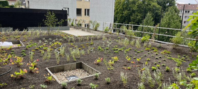 Dach- und Fassadenbegrünung auf dem Dach des Foyers und der Parkgarage.
