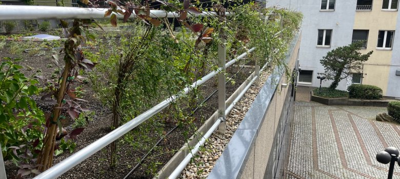 Dach- und Fassadenbegrünung auf dem Dach des Foyers und der Parkgarage.