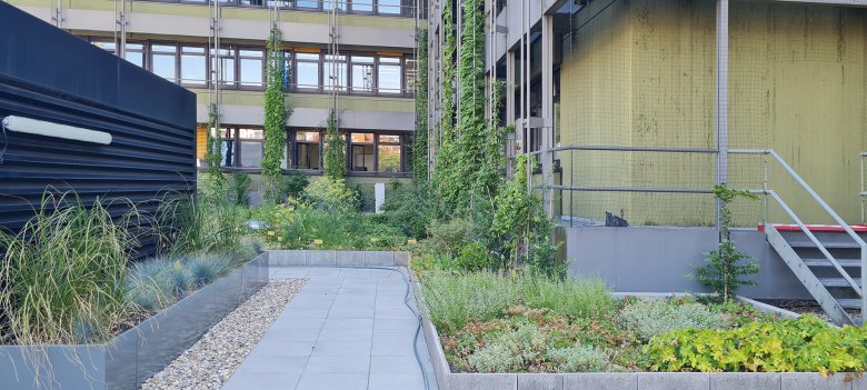 Die Vegetation im Dachgarten