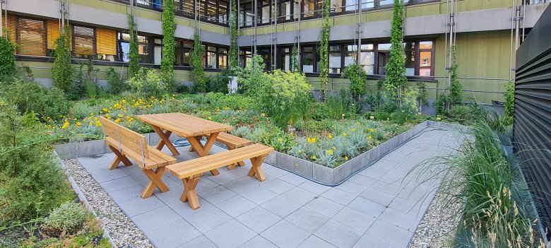 Die Vegetation im Dachgarten