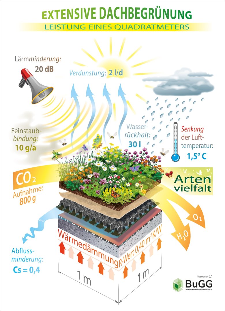 Leistung eines Quadrathmeters extensiver Dachbegrünung.