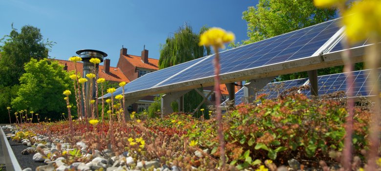Kombination aus einem Gründach und Photovoltaikelementen