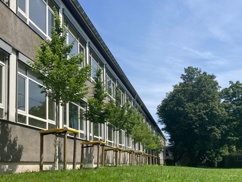 Fassadenbäum3_Walheim_c_L_Strehl_2024 Fassadenbäume an der Südfassade der GGS Walheim