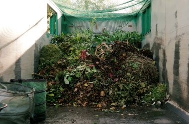 Foto eines Abfallcontainers