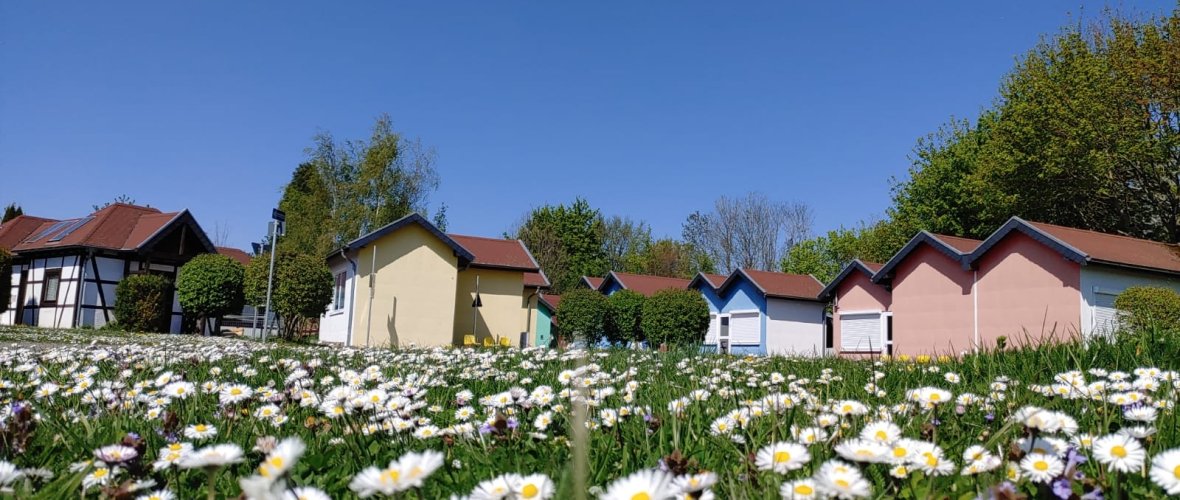 kleine Blümchen blühen auf der Wiese im Vordergrund und der Himmel ist strahlend blau. Im Hintergrund sind die verschiedenen Häuser des Floriansdorfes zu sehen.