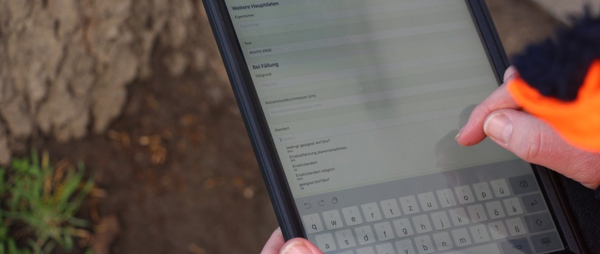 Ein Hand hält ein Tablet, die andere tippt darauf. Auf dem Tablet ist ein geöffnetes Programm zur Dateneingabe