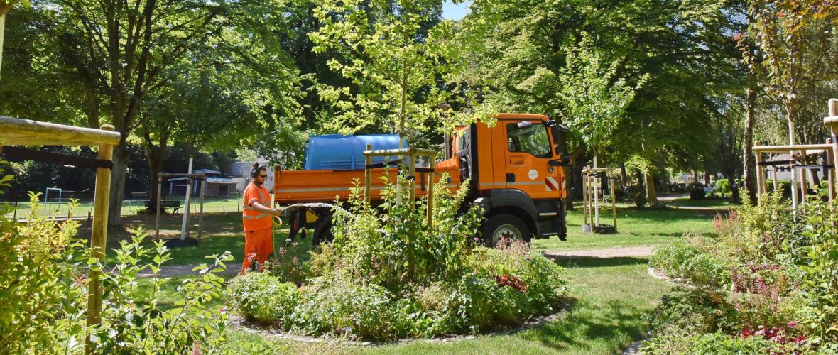 Eine beflanzte Baumscheibe in einer Grünfläche mit einem jungen Baum wird von einem Mann in Arbeitskleidung gegossen. Das Wasser kommt aus einem großen Tank auf einem orangenen Lastwagen