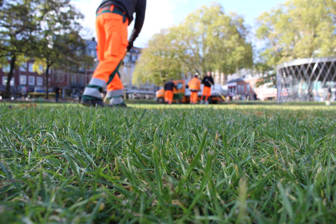 Rasenfläche, im vorderen Bildbereich einzelne Grashalme. Im Hintergrund Menschen in Arbeitskleidung, die mit Geräten den Rasen bearbeiten