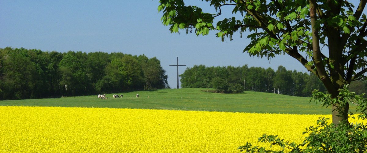 Auf dem Haarberg befindet sich ein Kreuz. Man sieht eine Wiese mit Kühen und einen angrenzenden Wald. Im Vordergrund blüht der Raps. Ein grüner Baum ist im Anschnitt zu sehen.