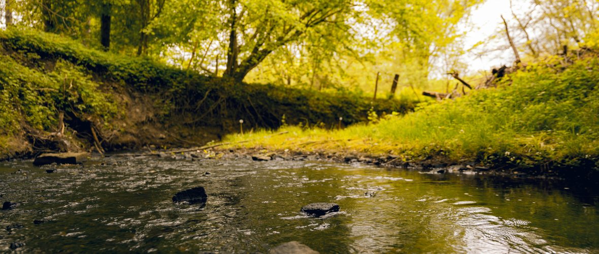 Bachlauf mit Bäumen im Hintergrund.