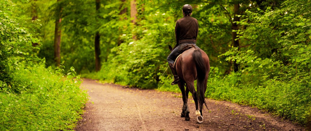 Person reitet einen Waldweg entlang.