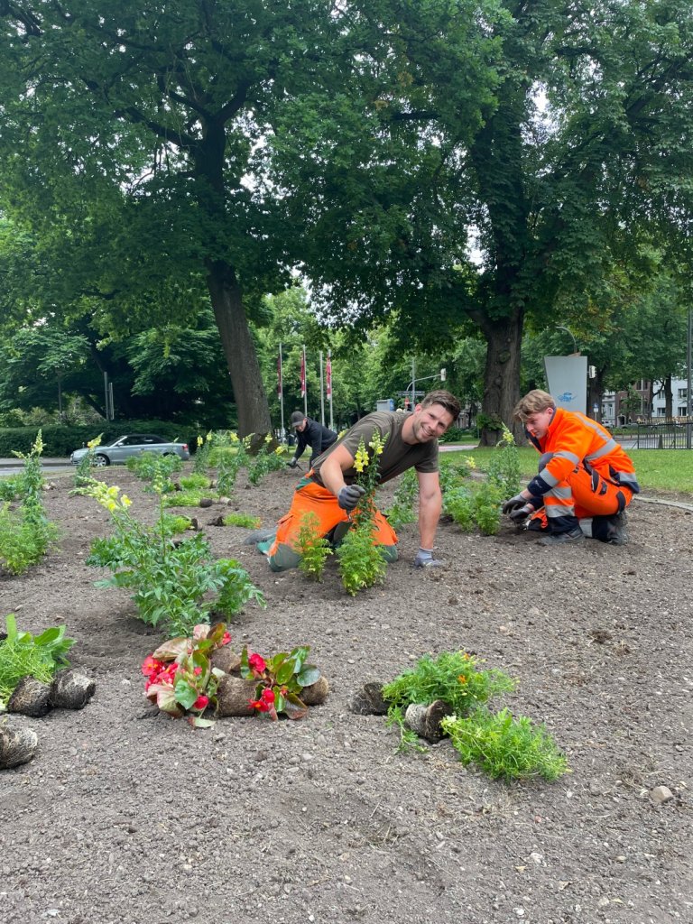 Kästen mit Blumen stehen auf einem Rollwagen.