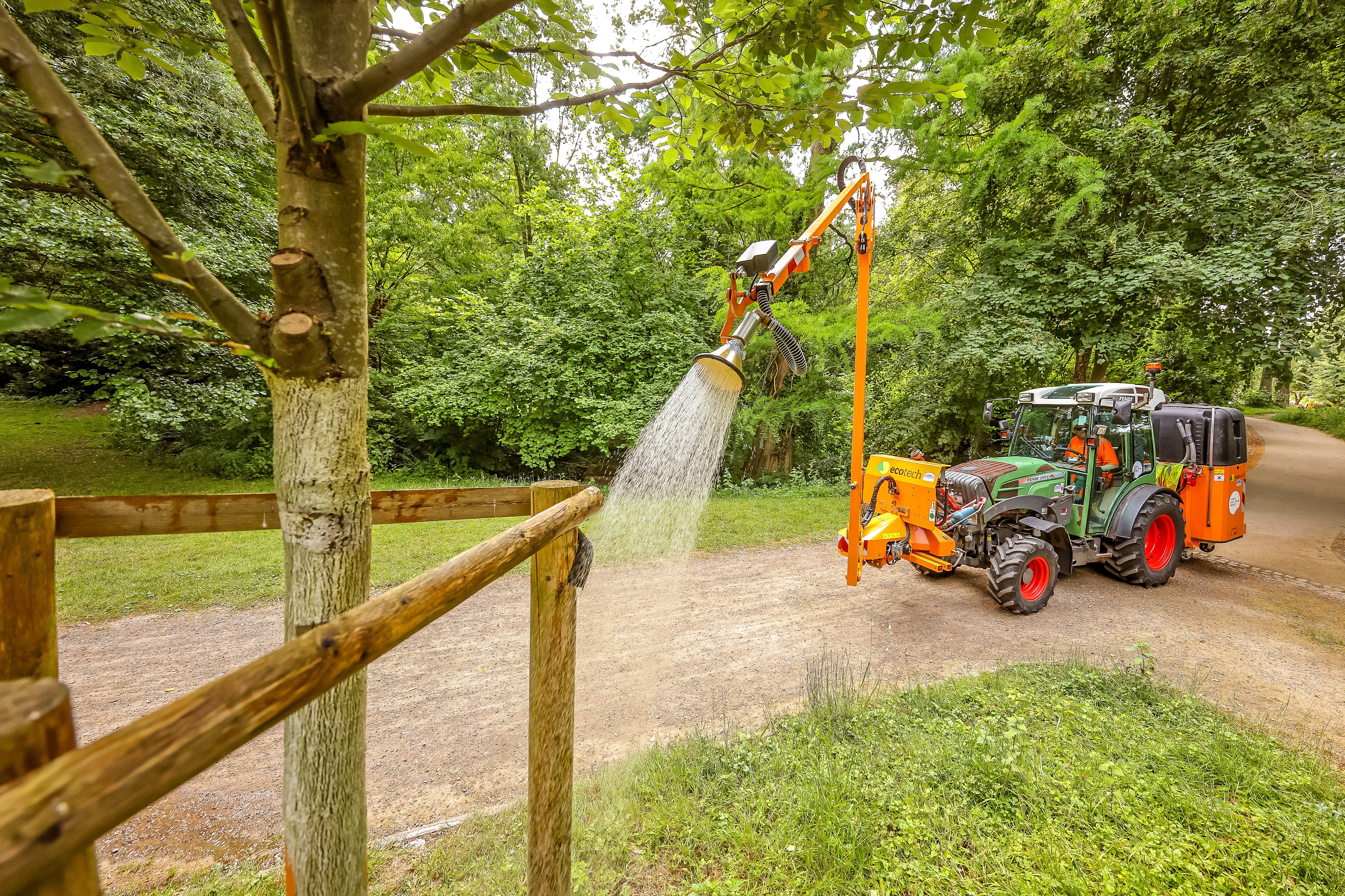 Ein Baum wird von einem Gießfahrzeug gegossen.