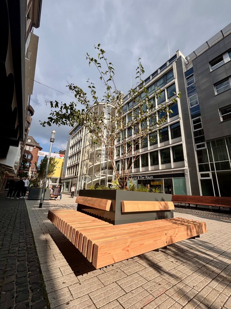 Es ist eine neu errichtete Sitzinsel in der Fußgängerzone Holzgraben zu sehen. Das viereckige Stadtmobiliar verfügt neben Bänken auch über grüne Pflanzen und einen kleinen Baum.