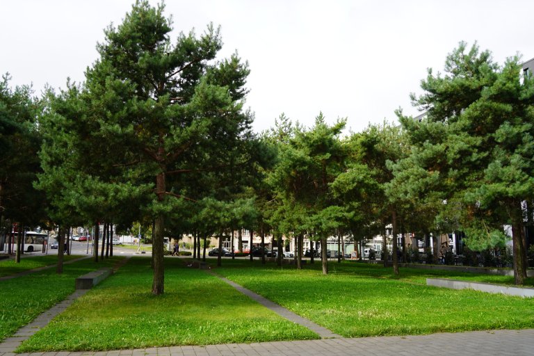 Miniwald Aachen-Münchener