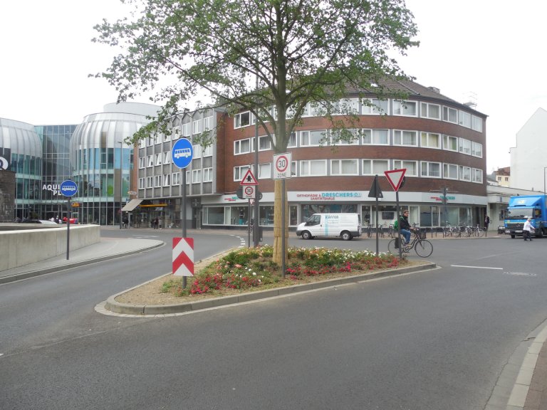 Ein Pflanzbeet mit Blumen und Baum