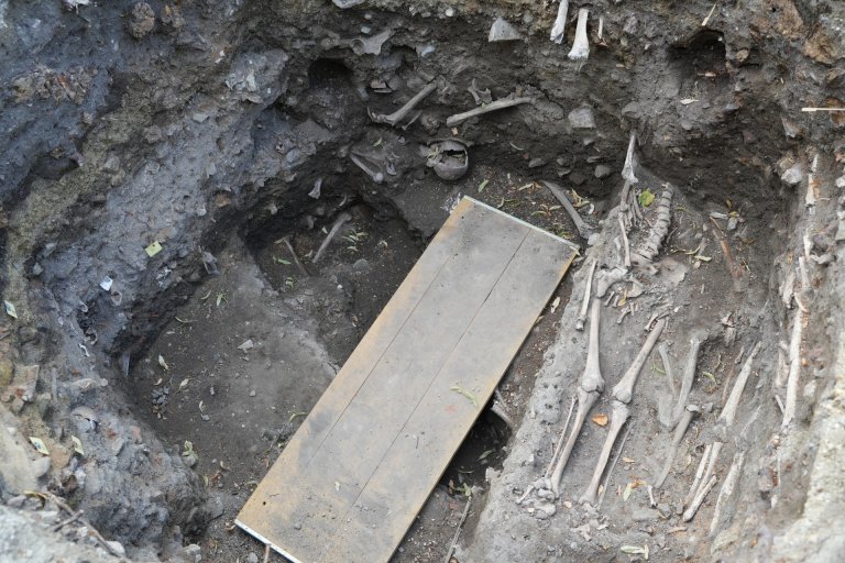 Blick in eine archäologische Grube mit Knochenteilen und einem ausgelegtem Holzbrett.